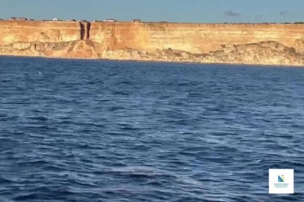 С Днём рождения, наше Чёрное море!