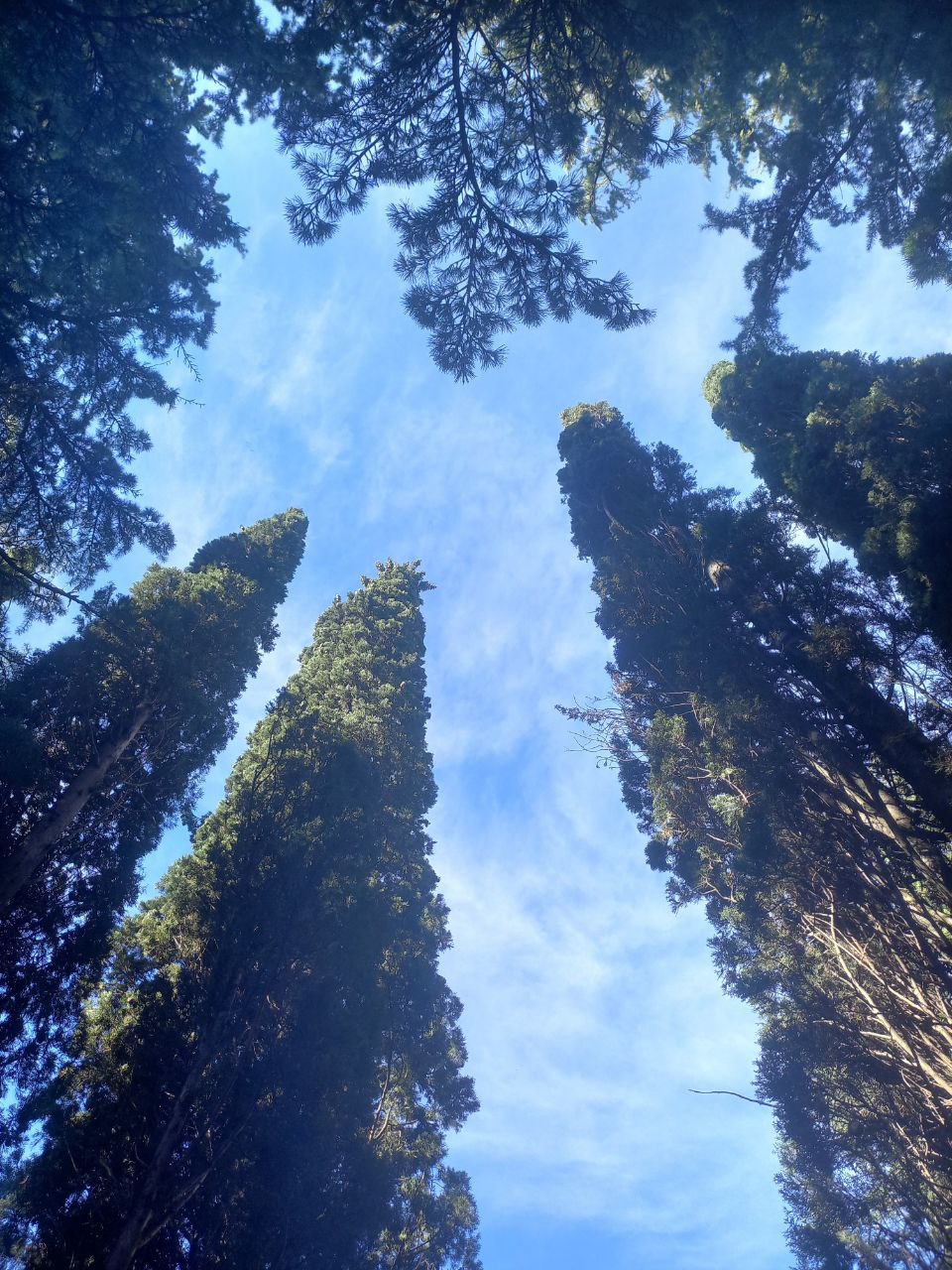 Всем доброго пятничного утра!