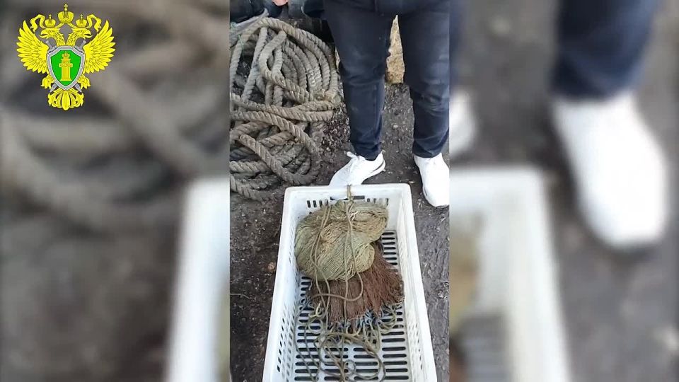 В Севастополе в суд направлено уголовное дело в отношении четырех местных жителей, которые обвиняются в незаконной добыче более 10 тысяч экземпляров кефали