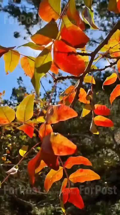 В Севастополь понемногу приходит ноябрьская прохлада