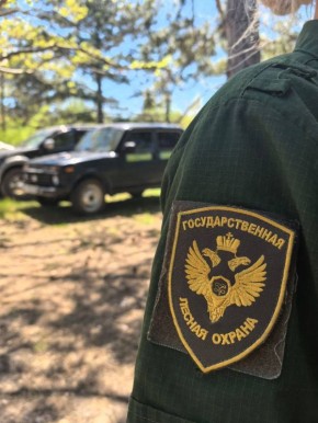 В Севастополе завершается пожароопасный сезон