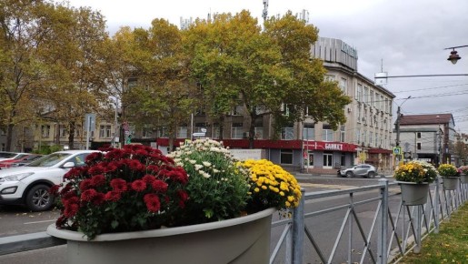 Погода на 1 ноября 2025 года в Крыму и Севастополе: воздух прогреется до 17 градусов