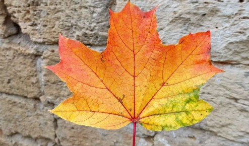 Сегодня в Севастополе - переменная облачность, без осадков