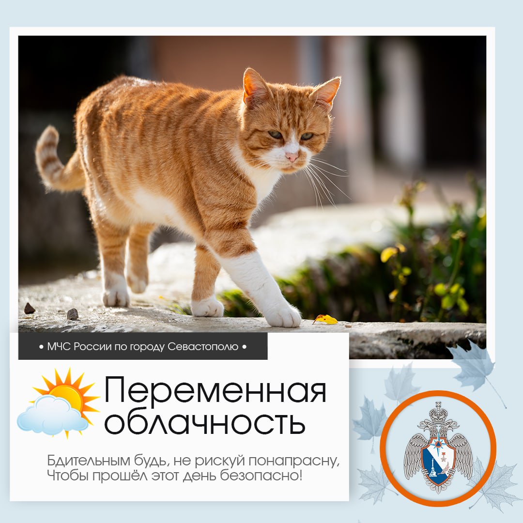 Доброе утро, Севастополь!. По данным гидрометцентра, 1 ноября в Севастополе будет переменная облачность