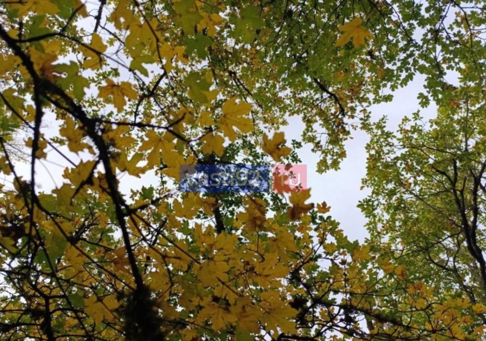 Доброе утро, Севастополь!. Сегодня весь день будет солнечно