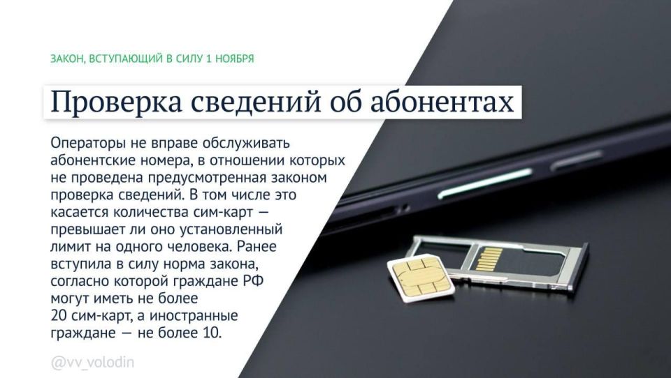 Татьяна Лобач: Какие законы вступают в силу в ноябре