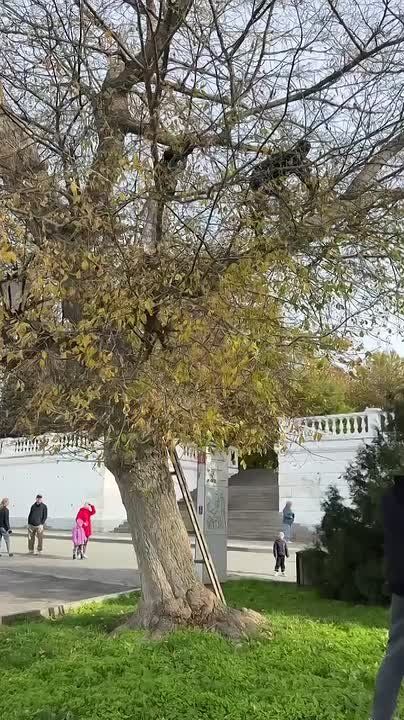 ������� ����������: ����� ������ ������������ �������� � �����������