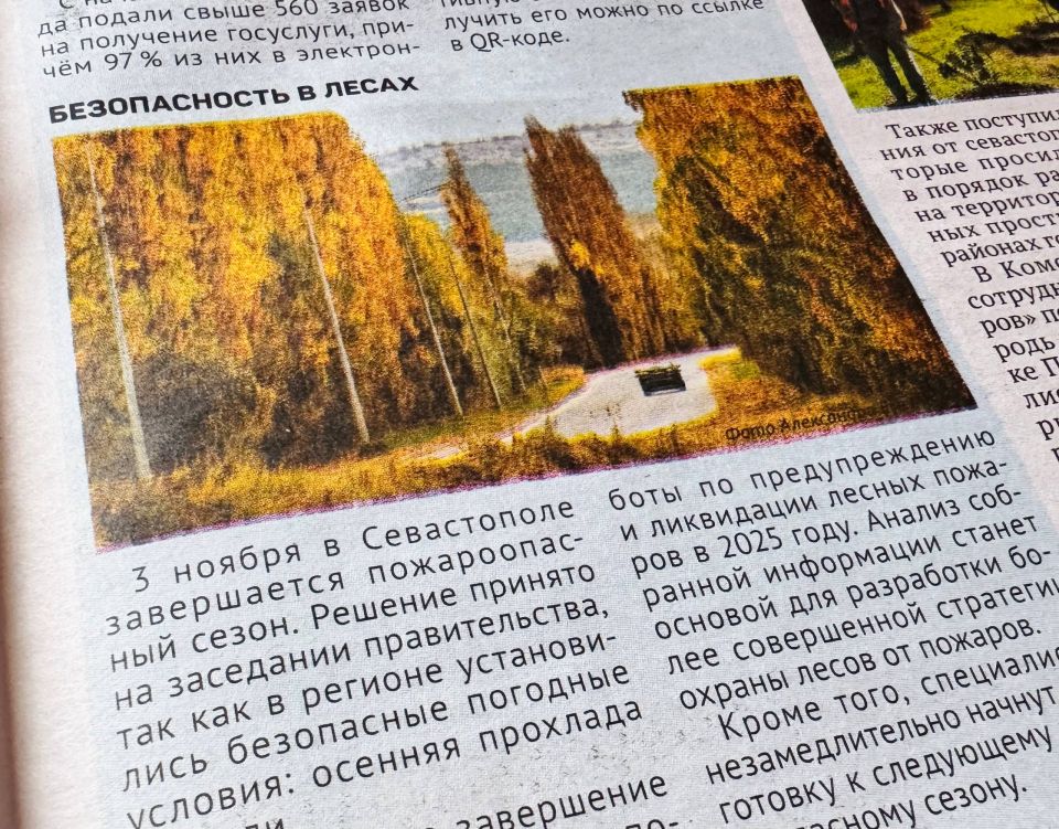 Безопасность в лесах. В Севастополе завершился пожароопасный сезон, об этом сообщили в Правительстве города