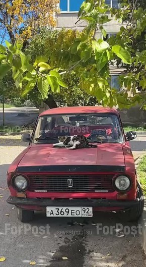 Начало ноября обещает севастопольцам хорошую погоду