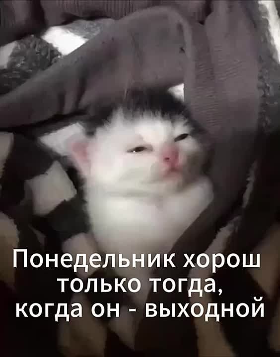 ������� ������� �����������: ������� ��������� ���� �� ������