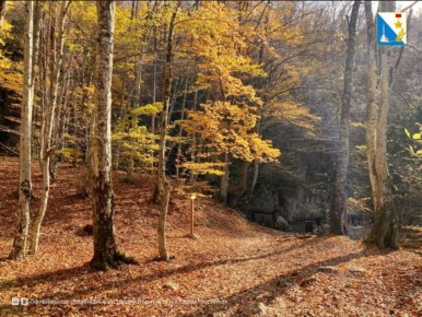 В Севастополе официально завершился пожароопасный сезон