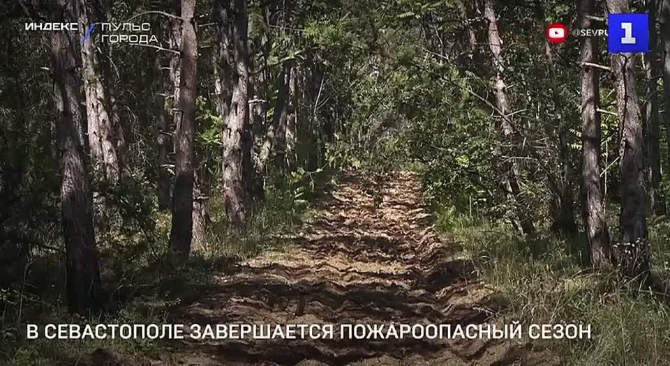 � ����������� 3 ������ ���������� ������������� �����
