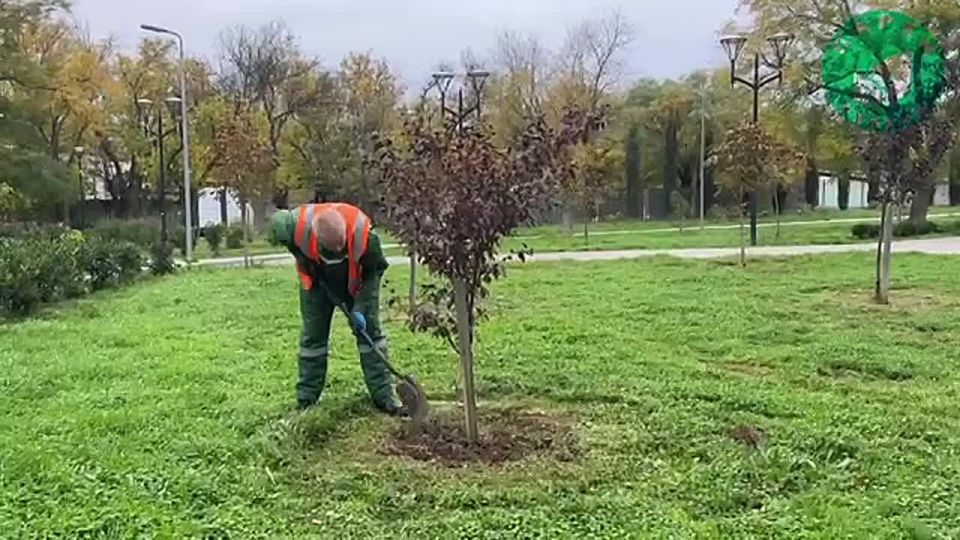 ����������� ��������� ������ �� ����� �� ���������� � ������ �� ����� ������� ������