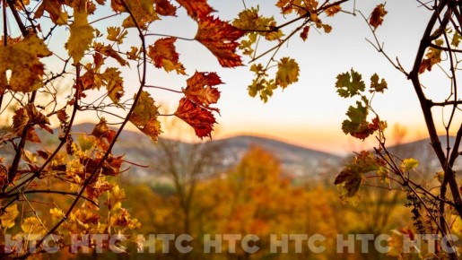 Ноябрь без шапки: как выглядит Севастополь, когда в Сибири уже идёт снег