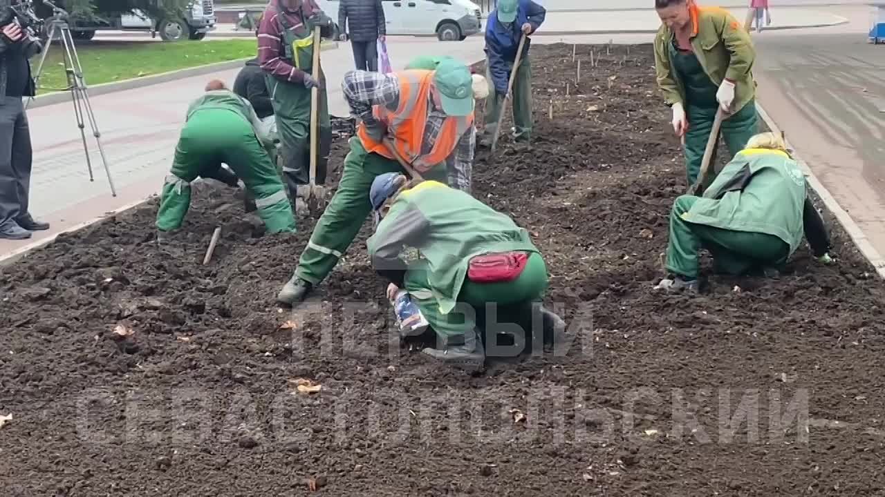 На Приморском бульваре высаживают весенние луковичные растения