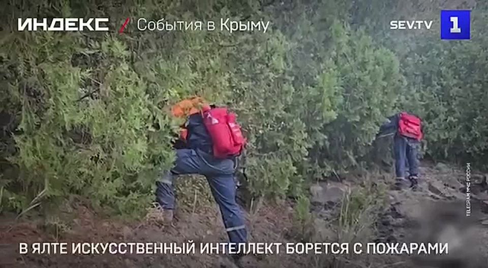 В Ялте начали применять искусственный интеллект для борьбы с пожарами