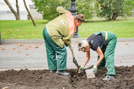 Более 250 тысяч луковиц цветов высадят в клумбы города
