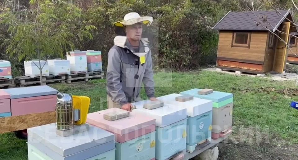 Пчеловодческое хозяйство в Сахарной головке готовится к зиме