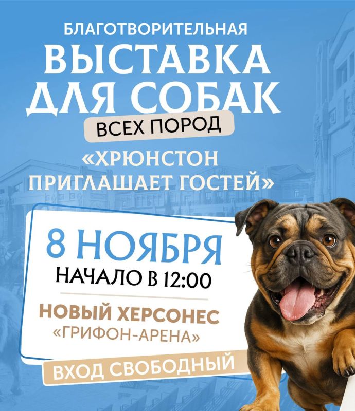 Благотворительная выставка собак в Новом Херсонесе