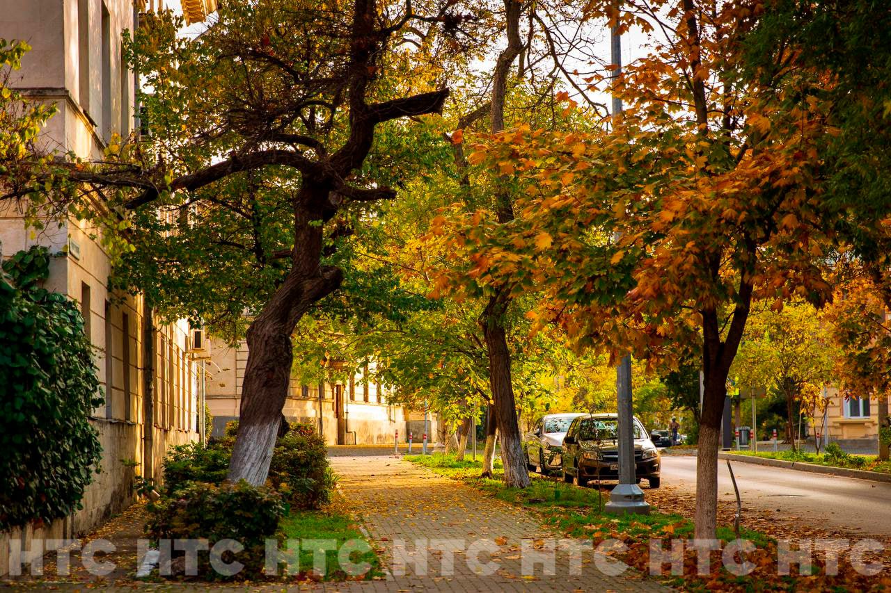 Ноябрь без шапки: как выглядит Севастополь, когда в Сибири уже идёт снег