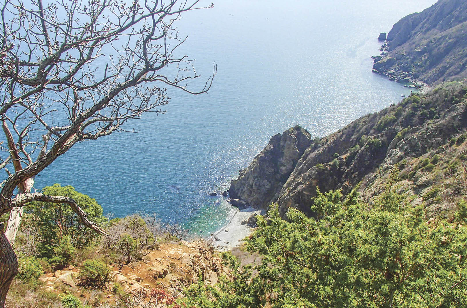 Крылья творчества всегда несли Ивана Бунина в Крым