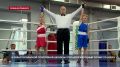 Ежегодный севастопольский турнир по боксу провели в честь А. Л. Таранова