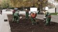 В Севастополе к весне высадят более 250 000 цветов