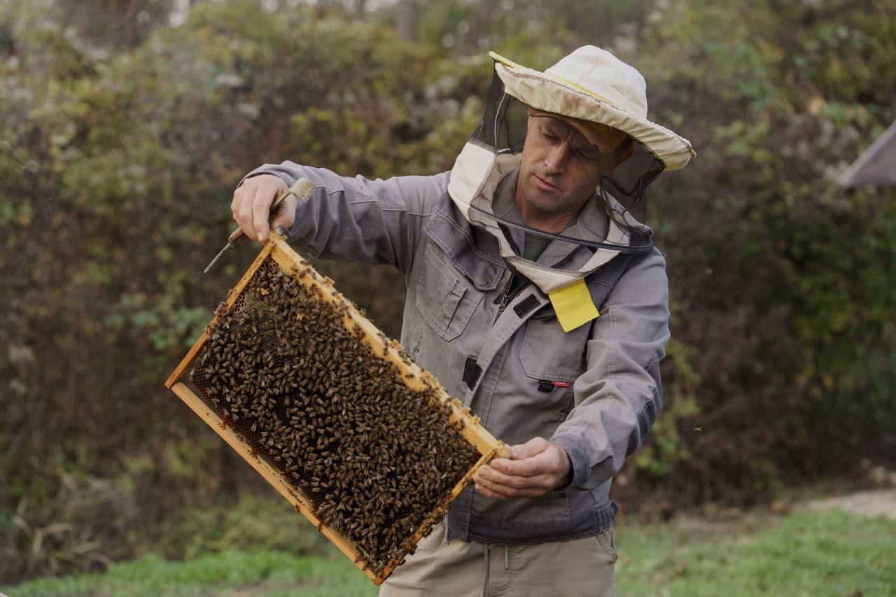 Пчеловоды Севастополя в этом году собрали уже больше 6 тонн меда