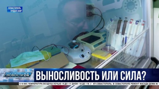 Даже школьник расшифрует ДНК