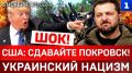 США: сдавайте Покровск! | Украинский нацизм | Котлы имени Зеленского