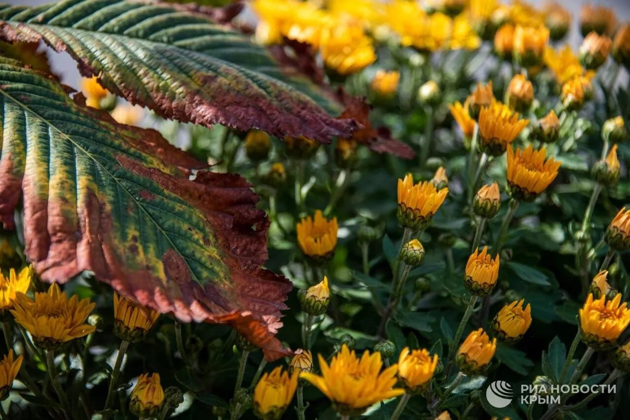 Прогноз погоды в Крыму на пятницу