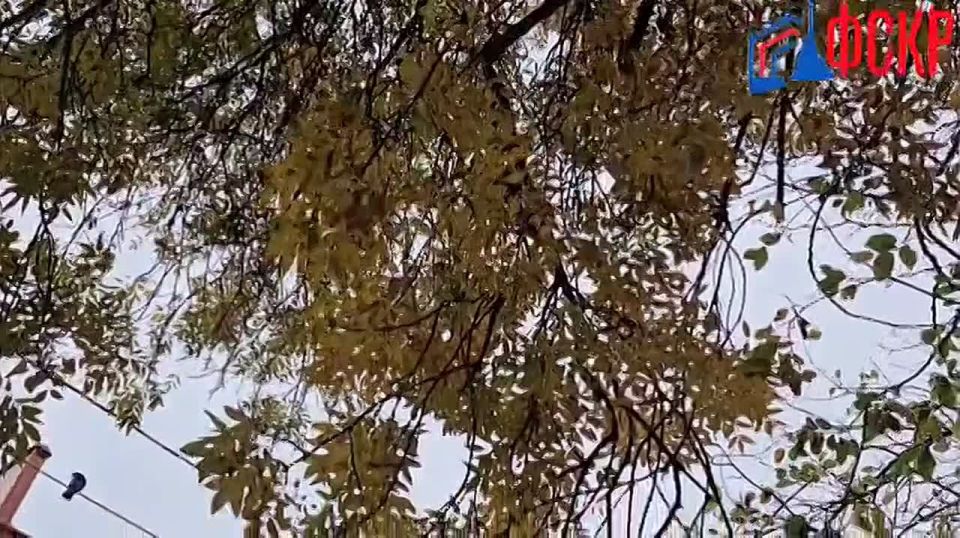 #ХОДРАБОТ. Приветствуем, друзья! Вот и закончилась короткая рабочая неделя