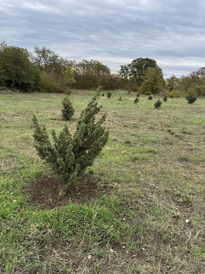 В Севастополе завершили рекультивацию бывшей свалки «Суздальские высоты»