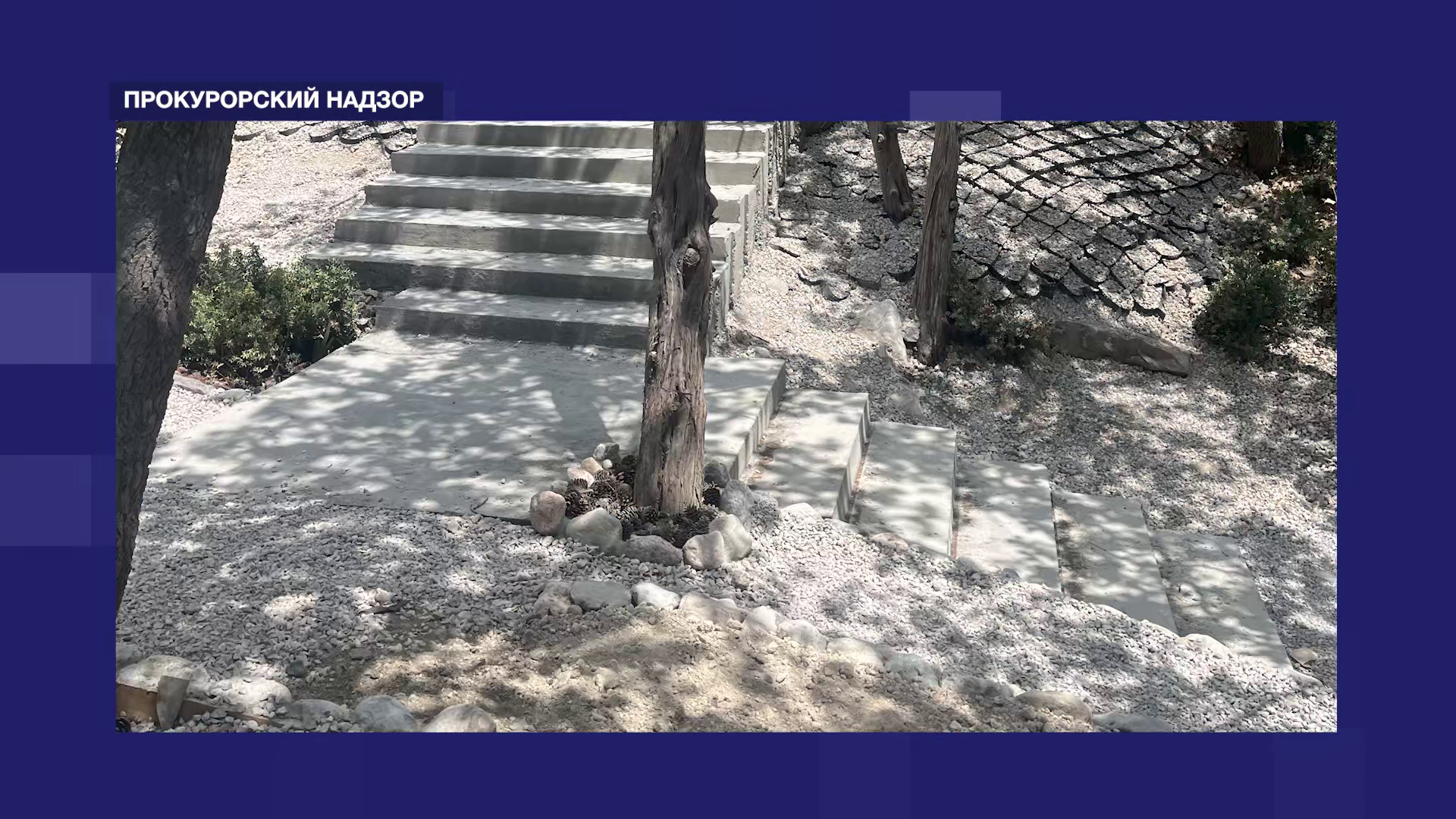 Взыскали 1,5 млн рублей с арендатора земли в Ласпи и наказали водителя-рецидивиста – прокурорский надзор