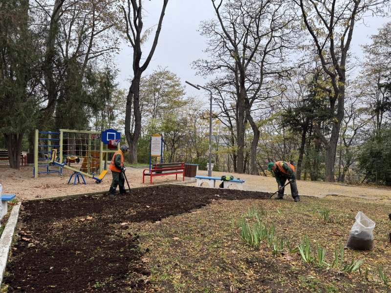 Специалисты «Парков и скверов» работают на зеленых территориях города