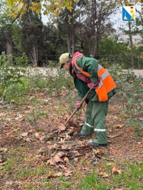 Севастопольские парки специалисты приводят в порядок