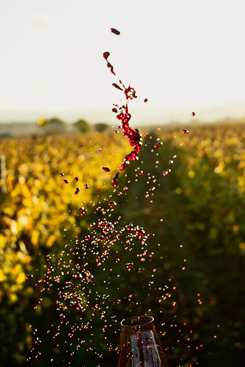 Севастопольское золото: местные вина получили высшие награды на международном конкурсе в Гонконге