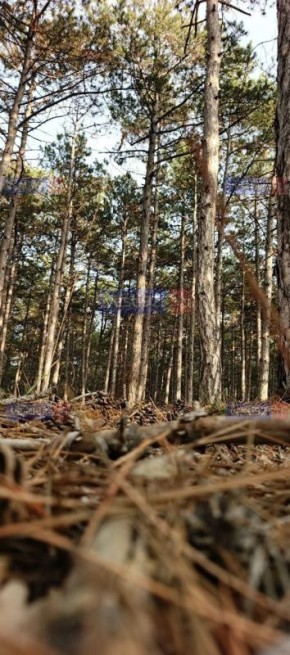 Доброе утро, Севастополь!. Сегодня в городе - переменная облачность, без осадков