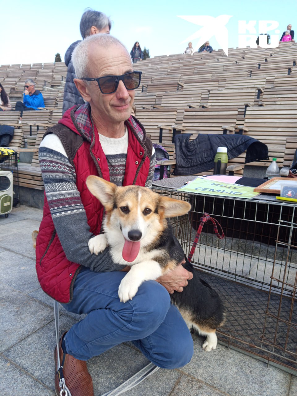 В Севастополе прошла душевная выставка собак «Хрюнстон приглашает друзей»!