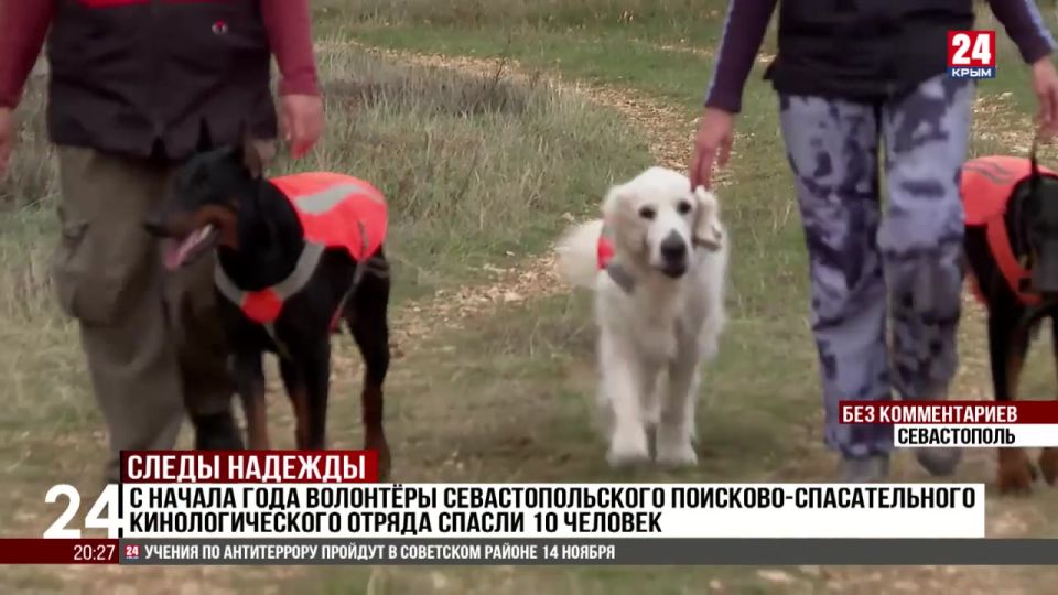 С начала года волонтеры севастопольского поисково-спасательного кинологического отряда спасли 10 человек