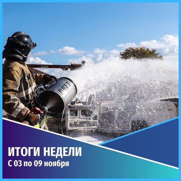 Общественная безопасность. События недели с 3 по 9 ноября