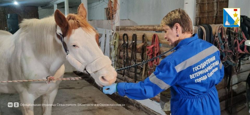 На защите здоровья людей и животных