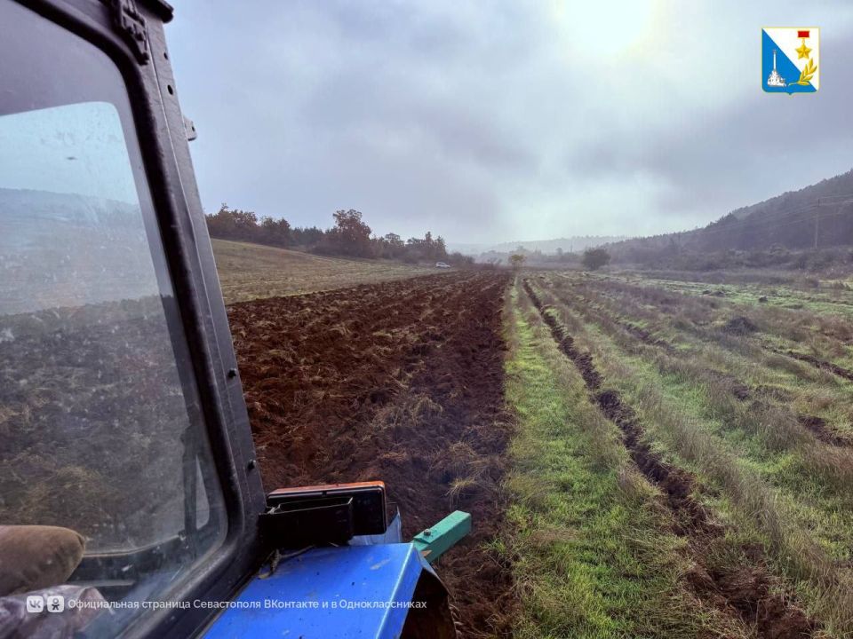Готовим почву для будущих лесов
