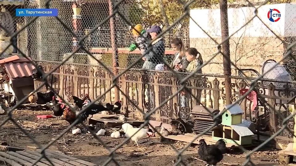 � ����������� ����� �������� �������������� ������� ��� �������� �������� � ����������� �����