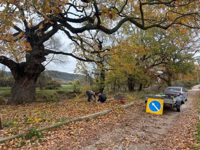 До конца года в Севастополе обозначат 45 особо охраняемых природных территорий