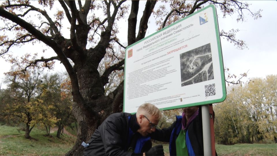 У дубов «Стражи Бельбека» установили таблички