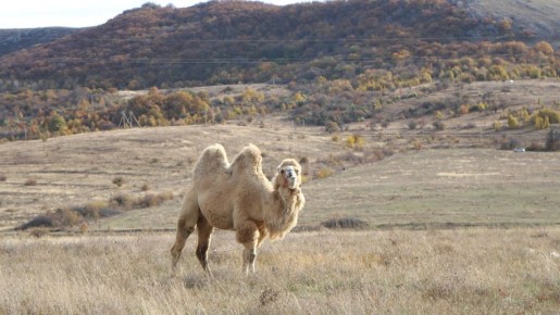   14  2025     :    13 