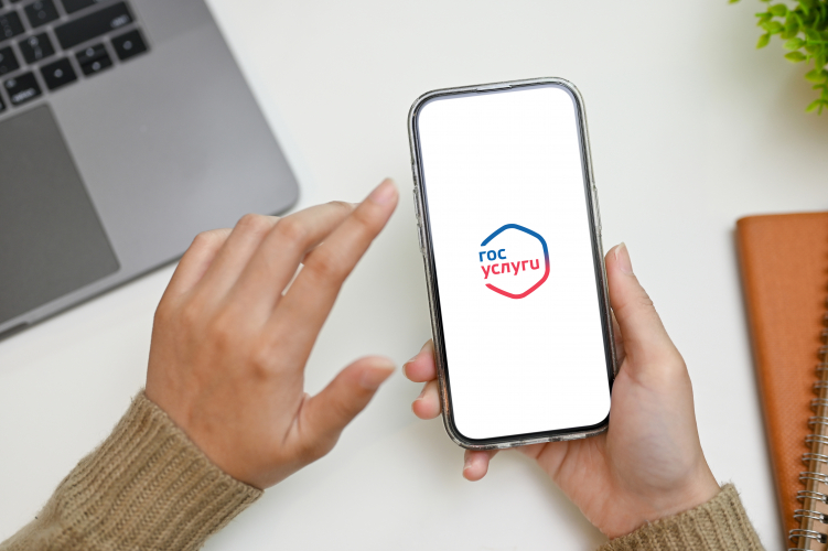 Сервис «Сим-карты» на портале «Госуслуги»: как защититься от мошенников