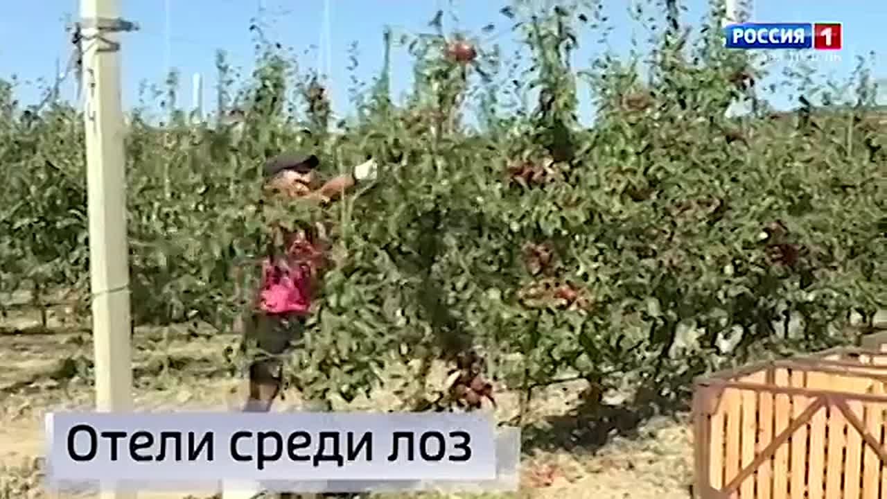 Не пропустите сегодня нашу итоговую программу!