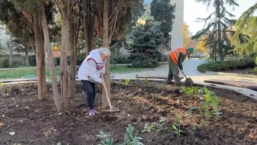 В Балаклаве продолжаются работы по осеннему озеленению